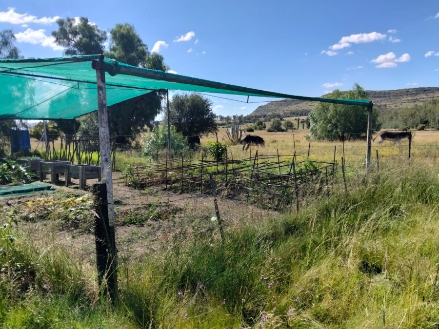 4 Bedroom Property for Sale in Dewetsdorp Free State